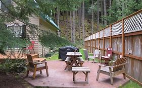 Elk Crossing Cozy Cabin At Crystal Mountain Home